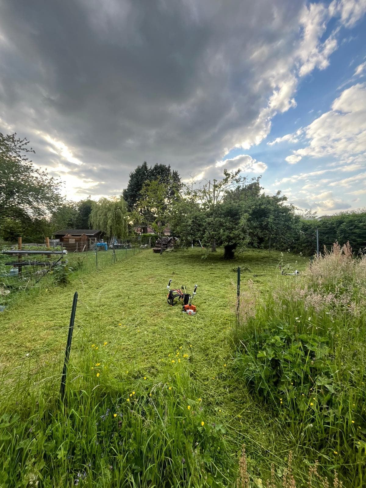 Comment Préparer Votre Jardin pour le Printemps