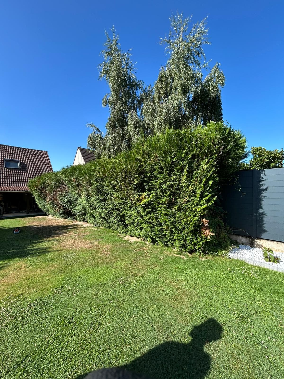 Les Tendances Jardins 2025 : Nature et Élégance