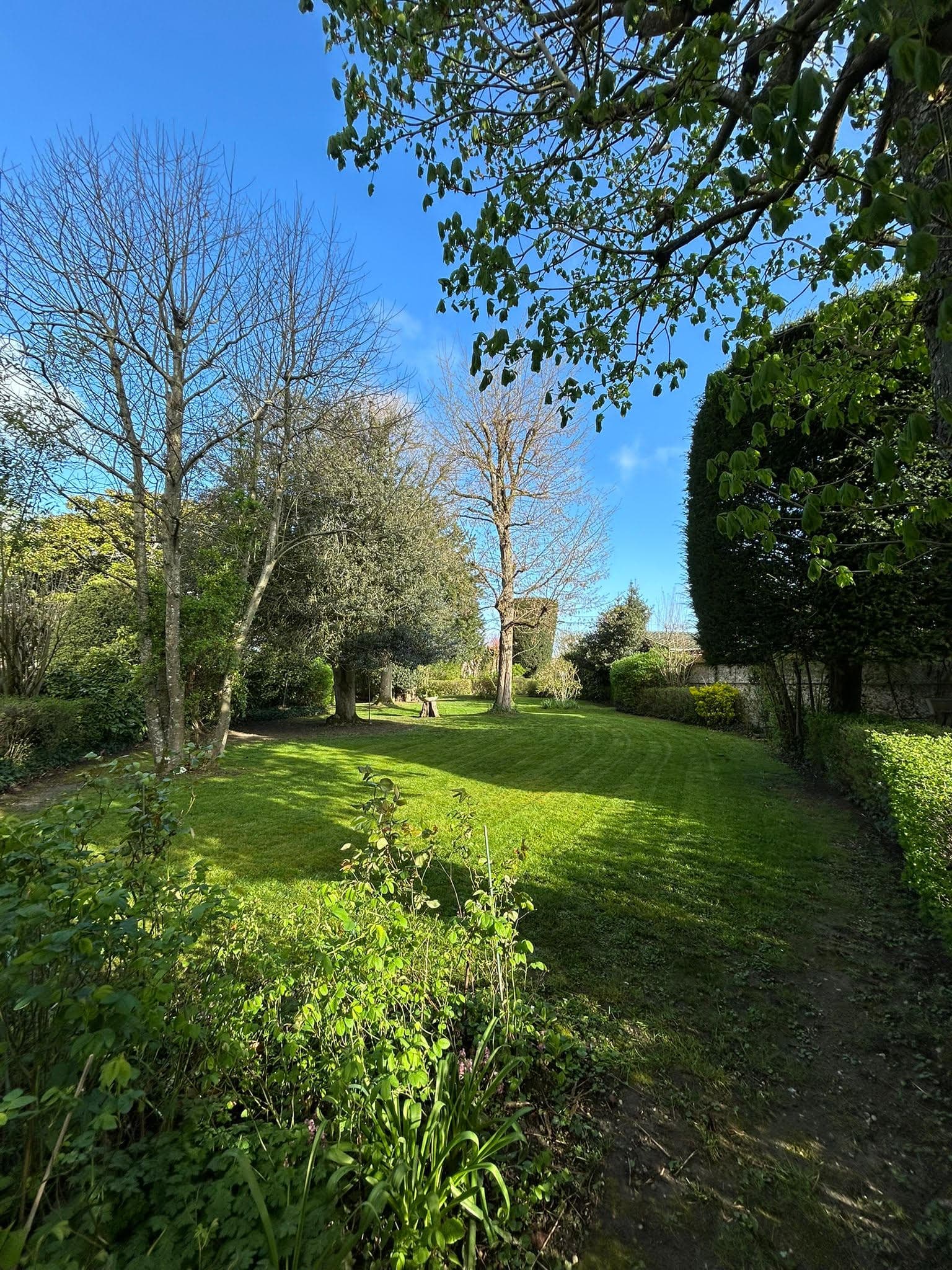 Équipe ED ESPACES VERTS au travail